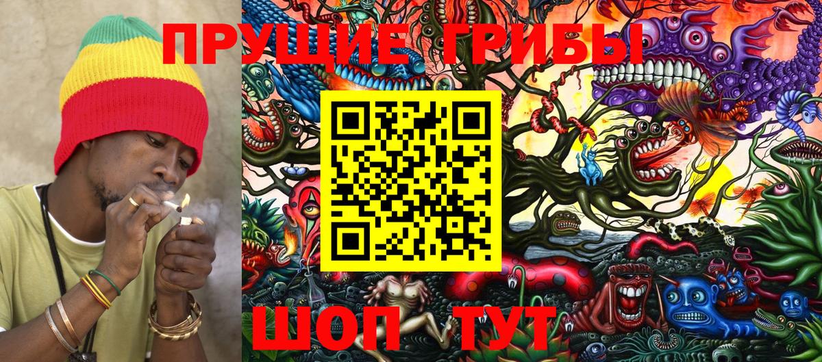 Псилоцибиновые грибы мицелий  Псилоцибиновые грибы GOLDEN TEACHER  Сланцы  Вход с VPN 