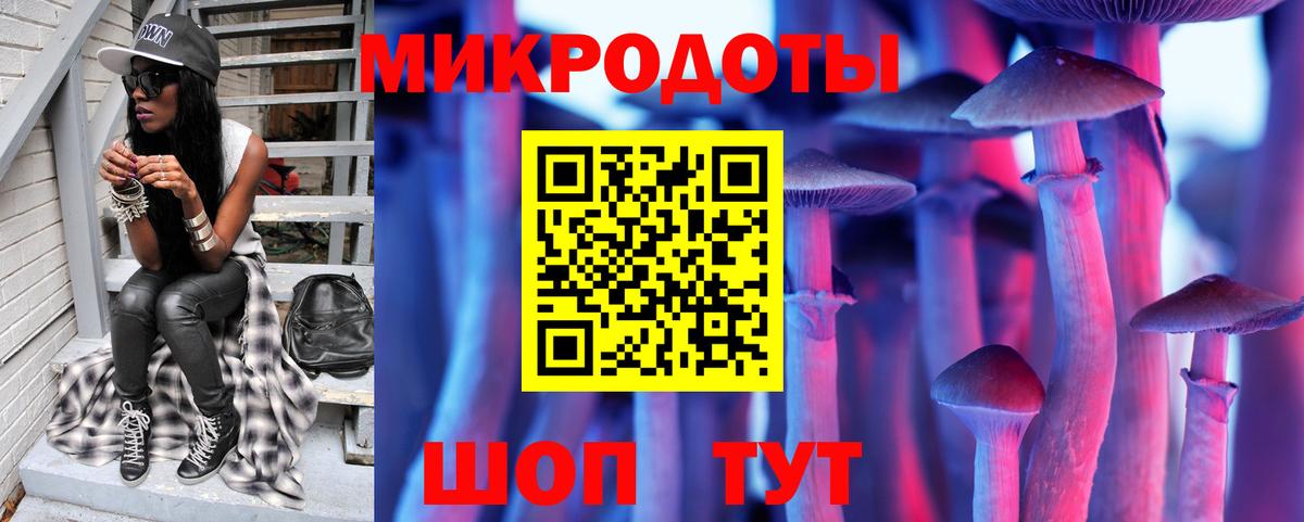 Галлюциногенные грибы MAGIC MUSHROOMS Сланцы